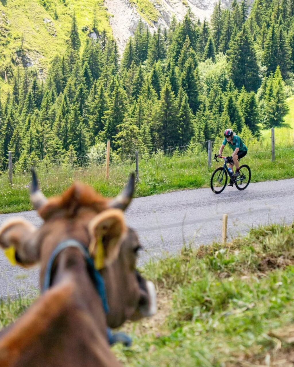 Ouverture des inscriptions – J-1 🤩

Ce sera demain à midi que vont s'ouvrir les inscriptions pour The Majestics.

Pourquoi t'inscrire tout de suite ? Tout simplement pour t'assurer ta place au meilleur tarif !

N'hésite plus et mets une alarme dans ton calendrier. 😉

___

Registration for The Majestics opens tomorrow at noon.

Why register now? Simply to secure your place at the best price!

Don't hesitate, set an alarm in your calendar. 😉

#themajestics 
#villars #alpesvaudoises