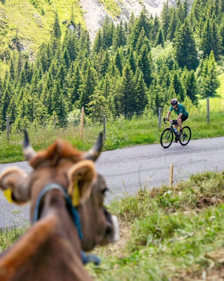 Ouverture des inscriptions – J-1 🤩

Ce sera demain à midi que vont s'ouvrir les inscriptions pour The Majestics.

Pourquoi t'inscrire tout de suite ? Tout simplement pour t'assurer ta place au meilleur tarif !

N'hésite plus et mets une alarme dans ton calendrier. 😉

___

Registration for The Majestics opens tomorrow at noon.

Why register now? Simply to secure your place at the best price!

Don't hesitate, set an alarm in your calendar. 😉

#themajestics 
#villars #alpesvaudoises