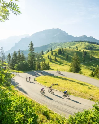 Memories of 2026 📷⛰️

Some of the best shots of 2026 ... a good way to let you discover what you could ride in real life next July. 🚴🏻

3 days of racing – 5 competitions – an endless array of emotions. 🤩

Discover the routes and get all the info via the link in bio

___

Quelques-unes des plus belles images de 2026… une excellente façon de vous découvrir ce que tu pourras parcourir "in real life" en juillet prochain. 🚴🏻

3 jours de course – 5 épreuves – une infinité d’émotions. 🤩

Découvre les parcours et retrouve toutes les infos dans le lien en bio

📷 @kuva.swiss 

#themajesticsUCI 
#villars #alpesvaudoises