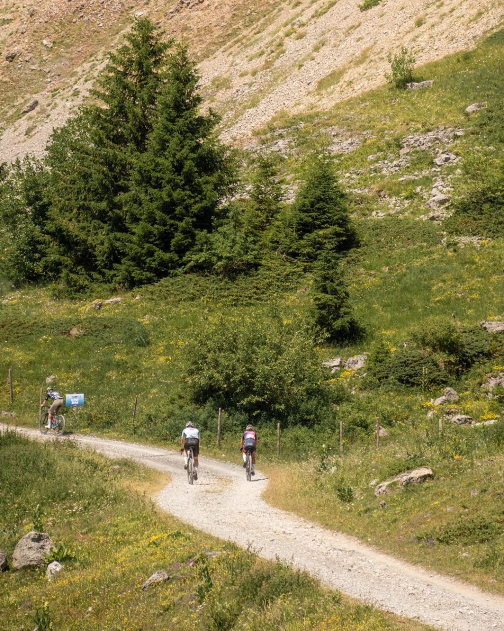 The Majestics – Gravel in the AlpsThe Majestics, c'est aussi une course de gravel. Un gravel alpin au cœur des @alpesvaudoises 😍Profite des derniers jours avant le prochain changement de tarif pour découvrir cette région qui accueillera les Championnat du Monde Gravel UCI en 2029 ! 🌈Infos et inscriptions –> lien en bio ✍️___The Majestics is also a gravel race. An alpine gravel race in the heart of the @alpesvaudoises 😍Make the most of the last few days before the next price increase to discover this region, which will host the UCI Gravel World Championships in 2029! 🌈Info and registration –> link in bio ✍️#themajestics #villars #alpesvaudoises