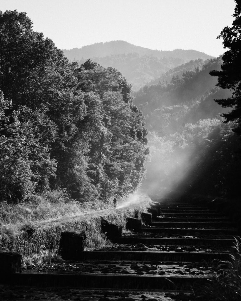 En ce jour de deuil national,
The Majestics s’associe au recueillement
à la suite du drame survenu à Crans-Montana.

Nos pensées vont aux victimes
et à leurs proches.

——

On this day of national mourning,
The Majestics joins in remembrance
following the tragedy in Crans-Montana.

Our thoughts are with the victims
and their loved ones.