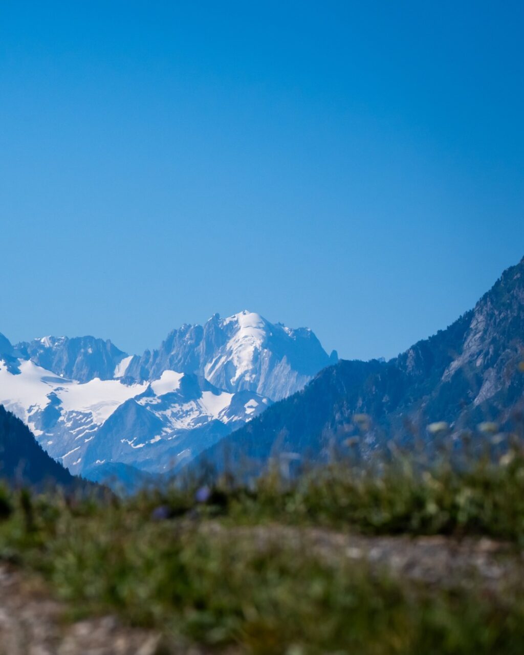 Merci @villarstourisme Merci @alpesvaudoises 

Pwhouaaaaaaaa 😍

Voici, en résumé, ce que nous avons retenu des paysages croisés ce weekend intense. 🚴🏻⛰️

Des points de vue idylliques que tu pourras retrouver l'an prochain (du 9 au 11 juillet) ou toute l'année en mode aventure et découverte. 💚🤍

___

Wowwwww 😍

Here’s a quick round-up of the scenery we took in during this action-packed weekend. 🚴🏻⛰️

Idyllic viewpoints that you can visit again next year (9–11 July) or explore all year round on an adventure of discovery mode. 💚🤍

📷 @kuva.swiss 

#themajestics 
#villars #alpesvaudoises