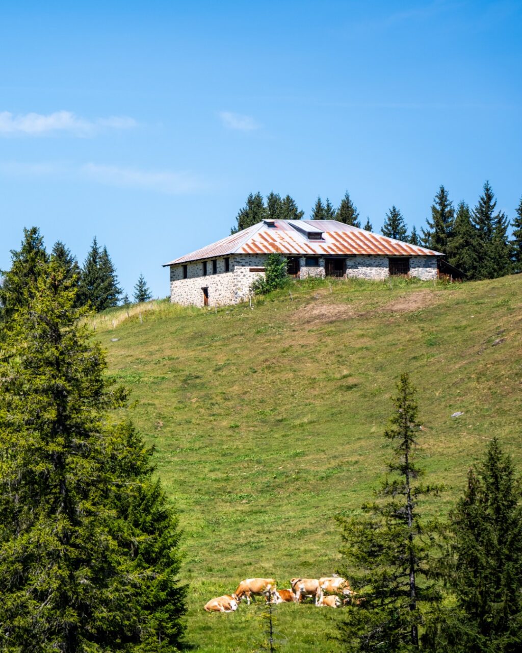 Merci @villarstourisme Merci @alpesvaudoises 

Pwhouaaaaaaaa 😍

Voici, en résumé, ce que nous avons retenu des paysages croisés ce weekend intense. 🚴🏻⛰️

Des points de vue idylliques que tu pourras retrouver l'an prochain (du 9 au 11 juillet) ou toute l'année en mode aventure et découverte. 💚🤍

___

Wowwwww 😍

Here’s a quick round-up of the scenery we took in during this action-packed weekend. 🚴🏻⛰️

Idyllic viewpoints that you can visit again next year (9–11 July) or explore all year round on an adventure of discovery mode. 💚🤍

📷 @kuva.swiss 

#themajestics 
#villars #alpesvaudoises