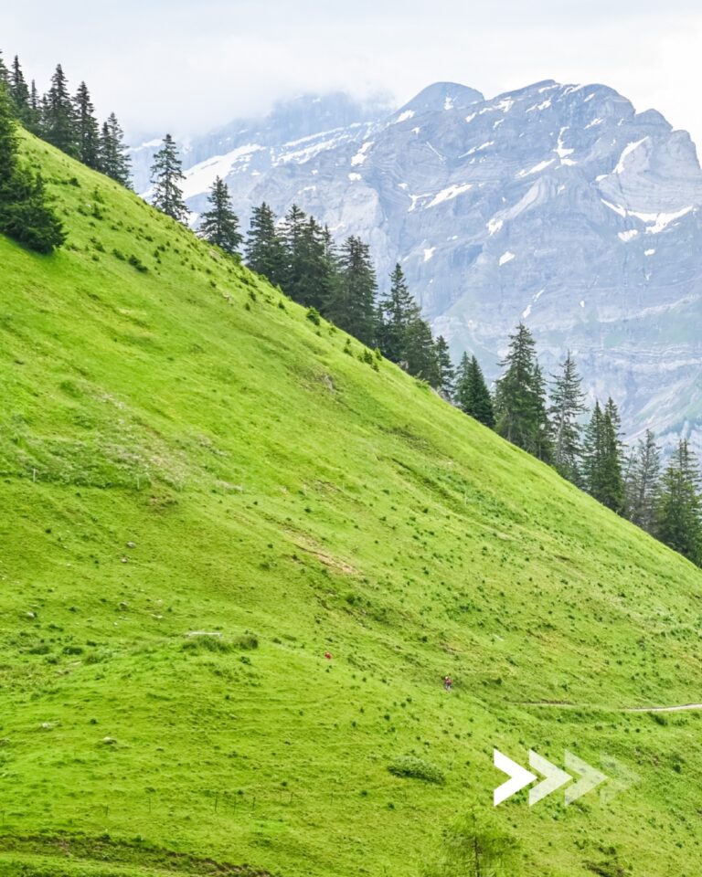 Be part of the scenery 🚴🏻⛰️

Participer à The Majestics, c'est rouler au milieu de ce que les @alpesvaudoises ont de plus beau à te donner. 😍

De la verdure des alpages à la puissance du Barrage de l'Hongrin ; de la Plaine du Chablais au sommet du Col de la Croix ; du @centre_mondial_du_cyclisme_uci au cœur de la station de @villarstourisme. Tout est fait pour que tu passes un moment d'exception.

Infos et inscriptions –> lien en bio !

___

Taking part to The Majestics means cycling through the most beautiful parts of the @alpesvaudoises. 😍

From the green pastures of the mountain meadows to the power of the Hongrin Dam; from the Chablais Plain to the summit of the Col de la Croix; from the @centre_mondial_du_cyclisme_uci to the heart of the @villarstourisme resort. Everything is in place to ensure you have an exceptional experience.

Information and registration –> link in bio!

📷 @kuva.swiss / @alexandrablumvisuals 

#themajestics 
#villars #alpesvaudoises 
#swissneyland