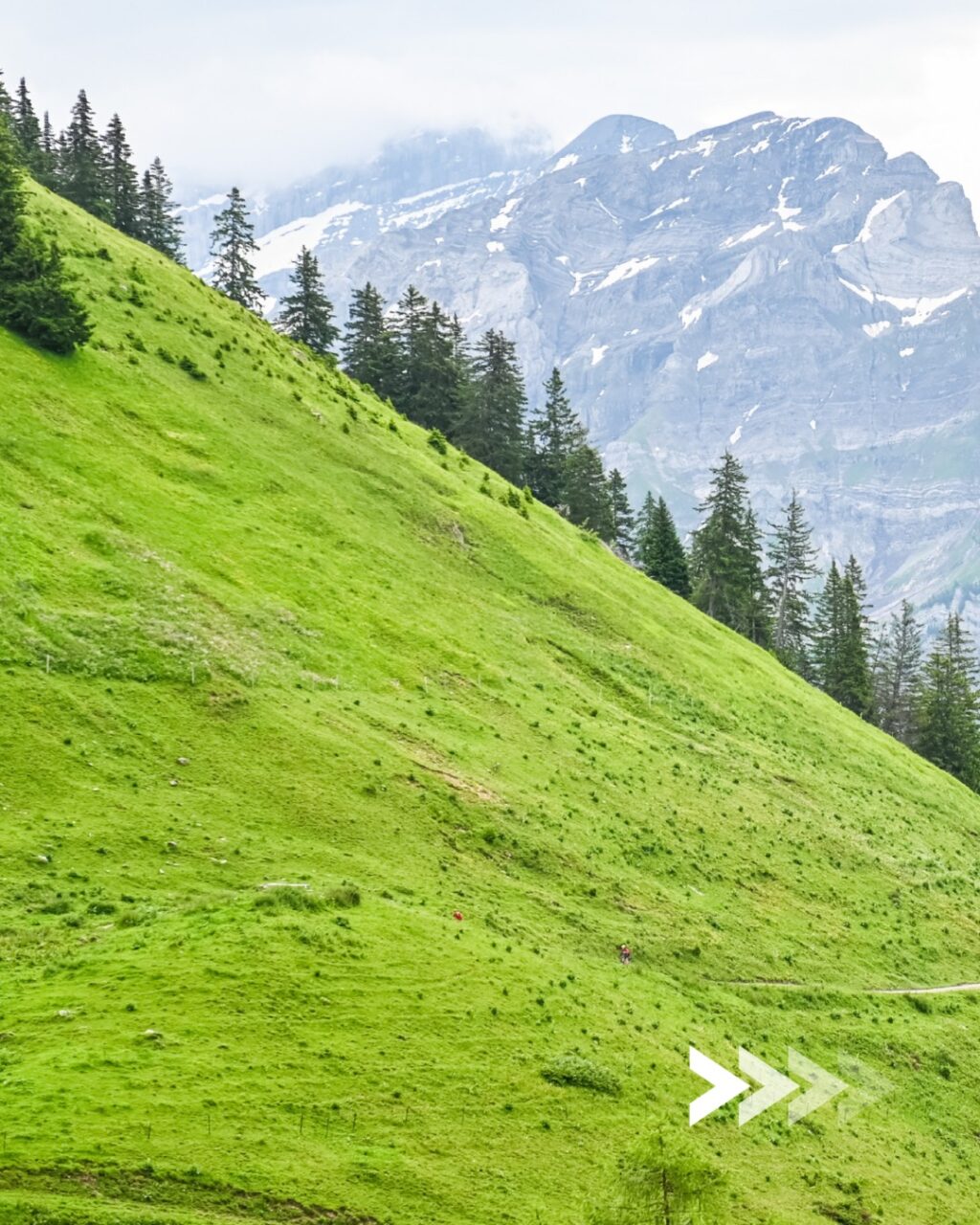 Be part of the scenery 🚴🏻⛰️

Participer à The Majestics, c'est rouler au milieu de ce que les @alpesvaudoises ont de plus beau à te donner. 😍

De la verdure des alpages à la puissance du Barrage de l'Hongrin ; de la Plaine du Chablais au sommet du Col de la Croix ; du @centre_mondial_du_cyclisme_uci au cœur de la station de @villarstourisme. Tout est fait pour que tu passes un moment d'exception.

Infos et inscriptions –> lien en bio !

___

Taking part to The Majestics means cycling through the most beautiful parts of the @alpesvaudoises. 😍

From the green pastures of the mountain meadows to the power of the Hongrin Dam; from the Chablais Plain to the summit of the Col de la Croix; from the @centre_mondial_du_cyclisme_uci to the heart of the @villarstourisme resort. Everything is in place to ensure you have an exceptional experience.

Information and registration –> link in bio!

📷 @kuva.swiss / @alexandrablumvisuals 

#themajestics 
#villars #alpesvaudoises 
#swissneyland